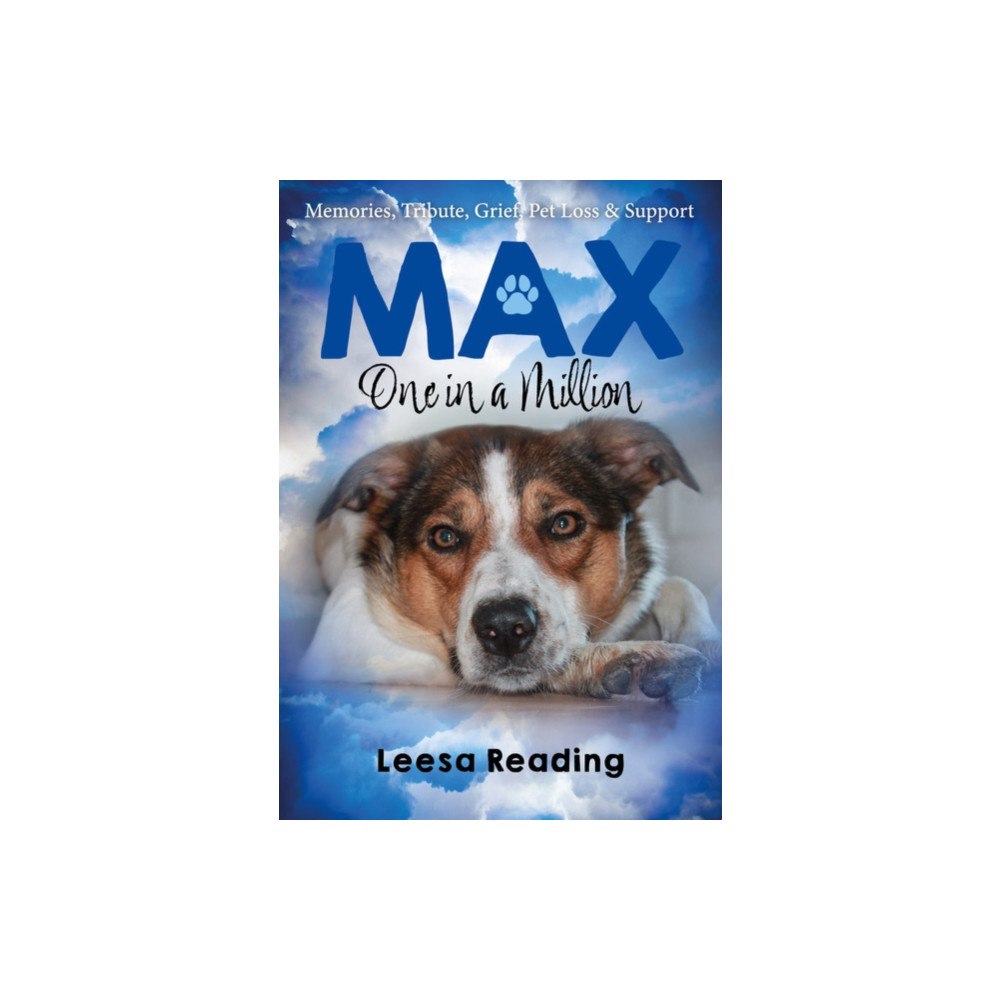 Brown Dog Books Max: One in a Million (häftad, eng)