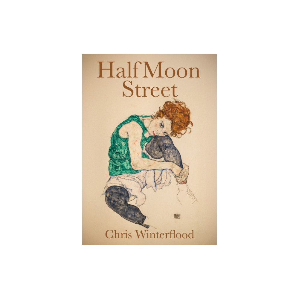 Brown Dog Books Half Moon Street (häftad, eng)