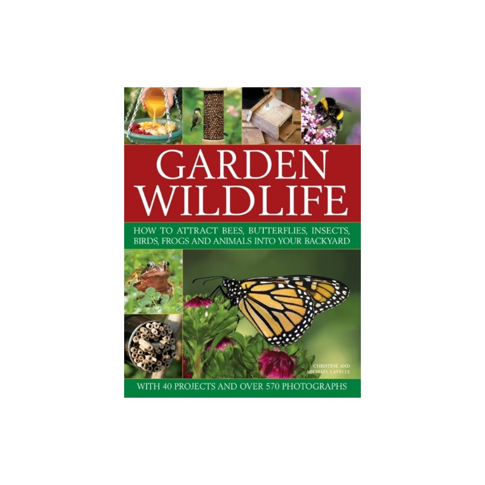 Anness publishing Garden Wildlife (häftad, eng)