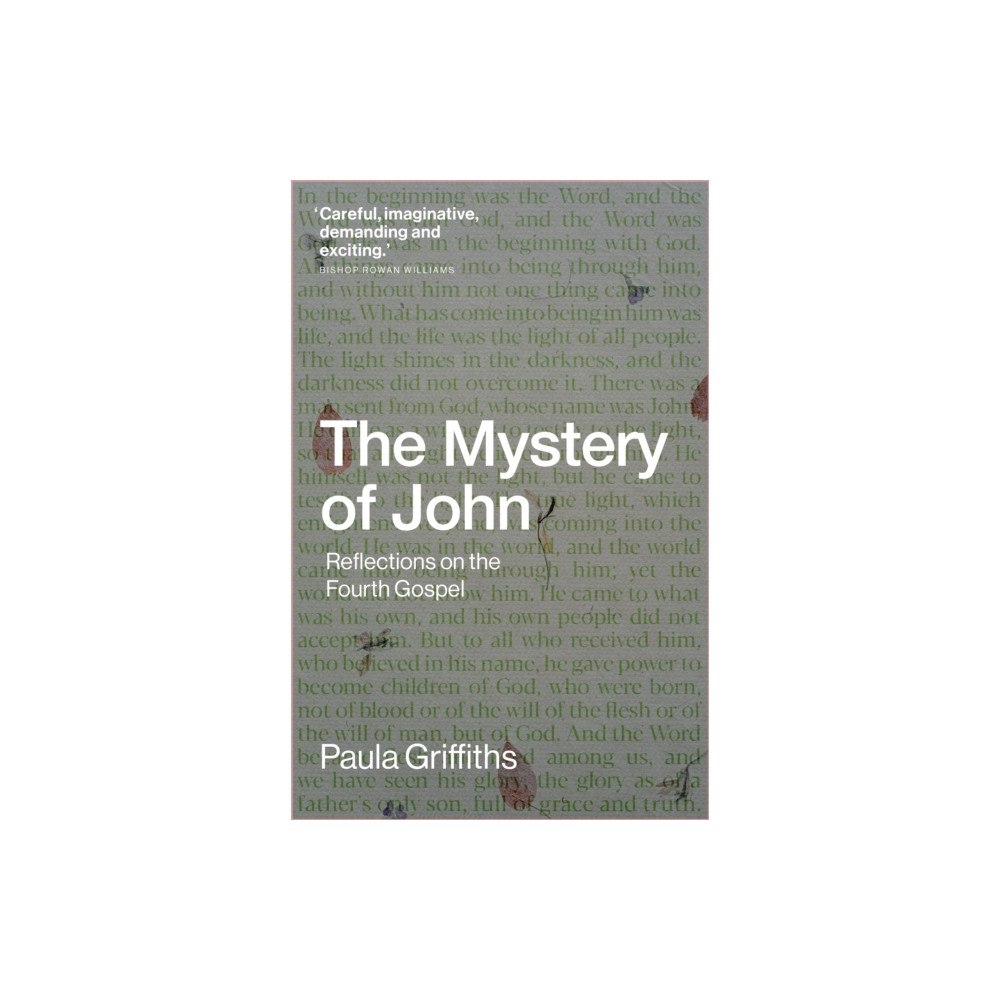 Instant apostle The Mystery of John (häftad, eng)