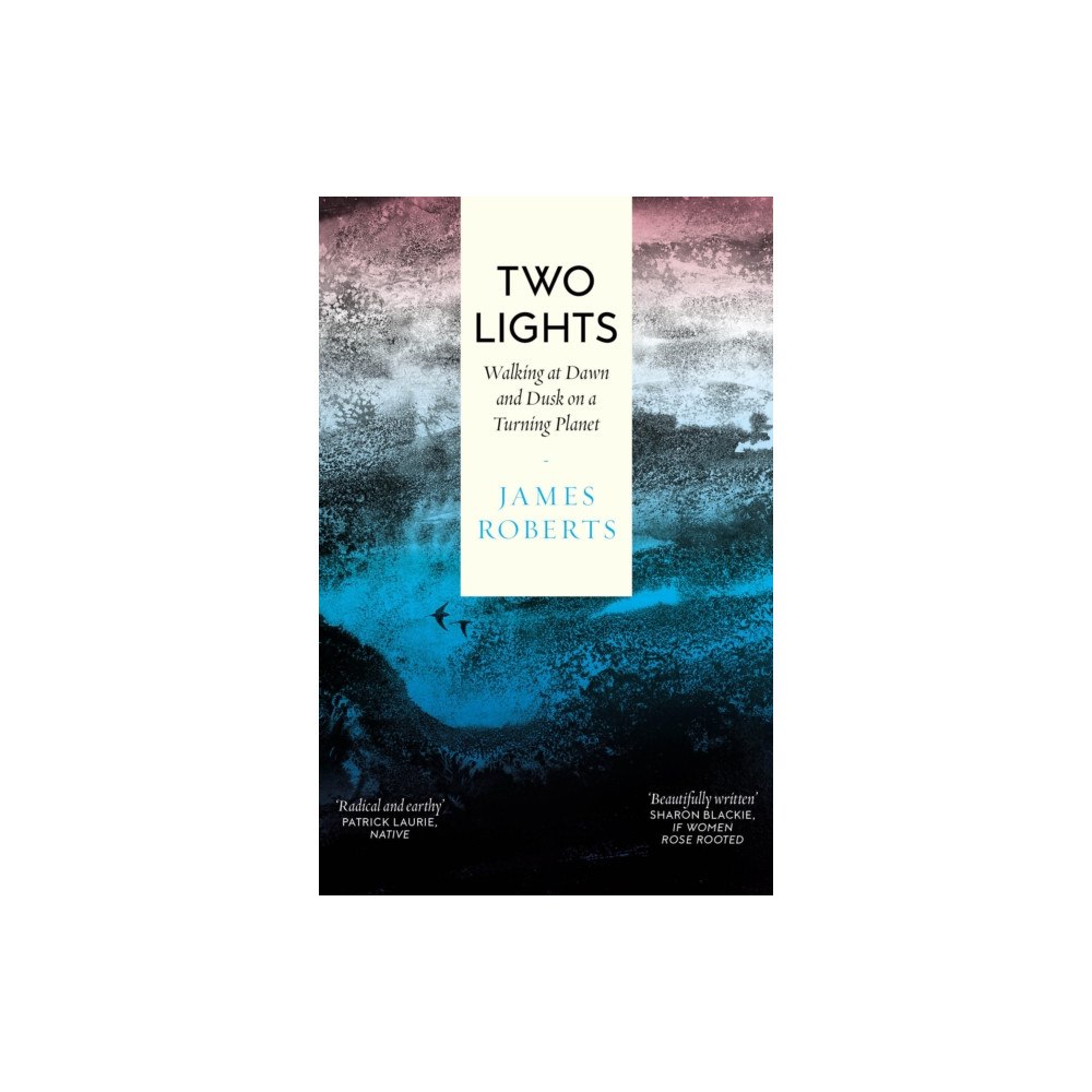 Duckworth Books Two Lights (häftad, eng)