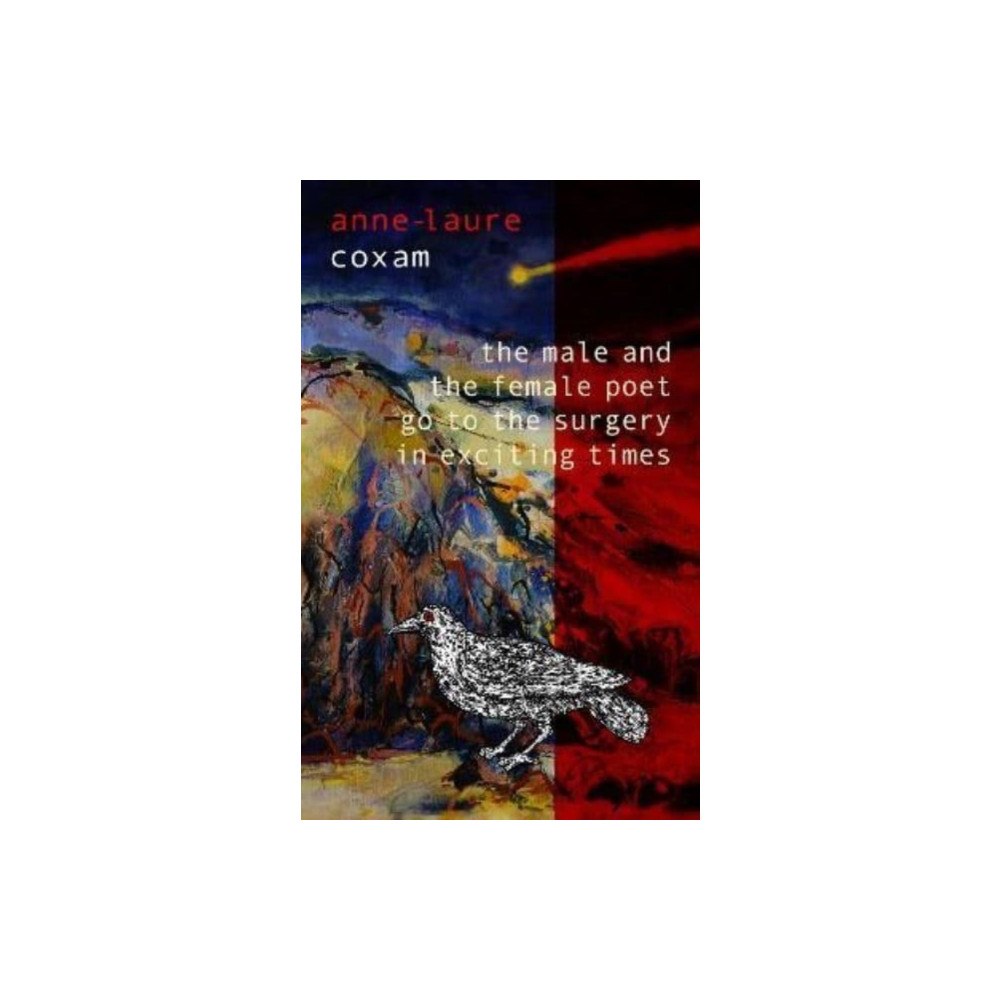 Blue Diode Publishing The Male and the Female Poet Go to the Surgery in Exciting Times (häftad, eng)