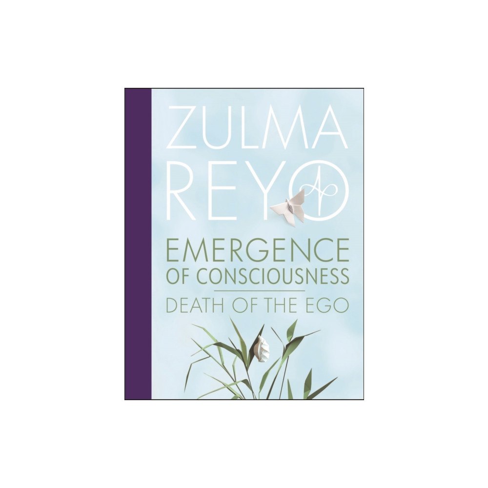 LightEn Publishing Emergence Of Consciousness (inbunden, eng)