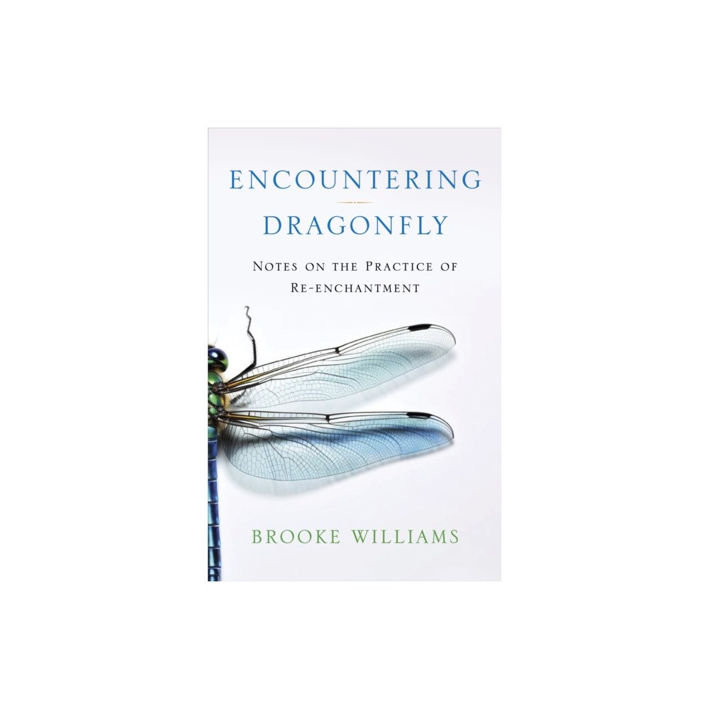 Uphill Books Encountering Dragonfly (häftad, eng)