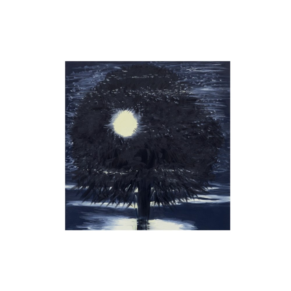 Karma Ann Craven: Night (inbunden, eng)