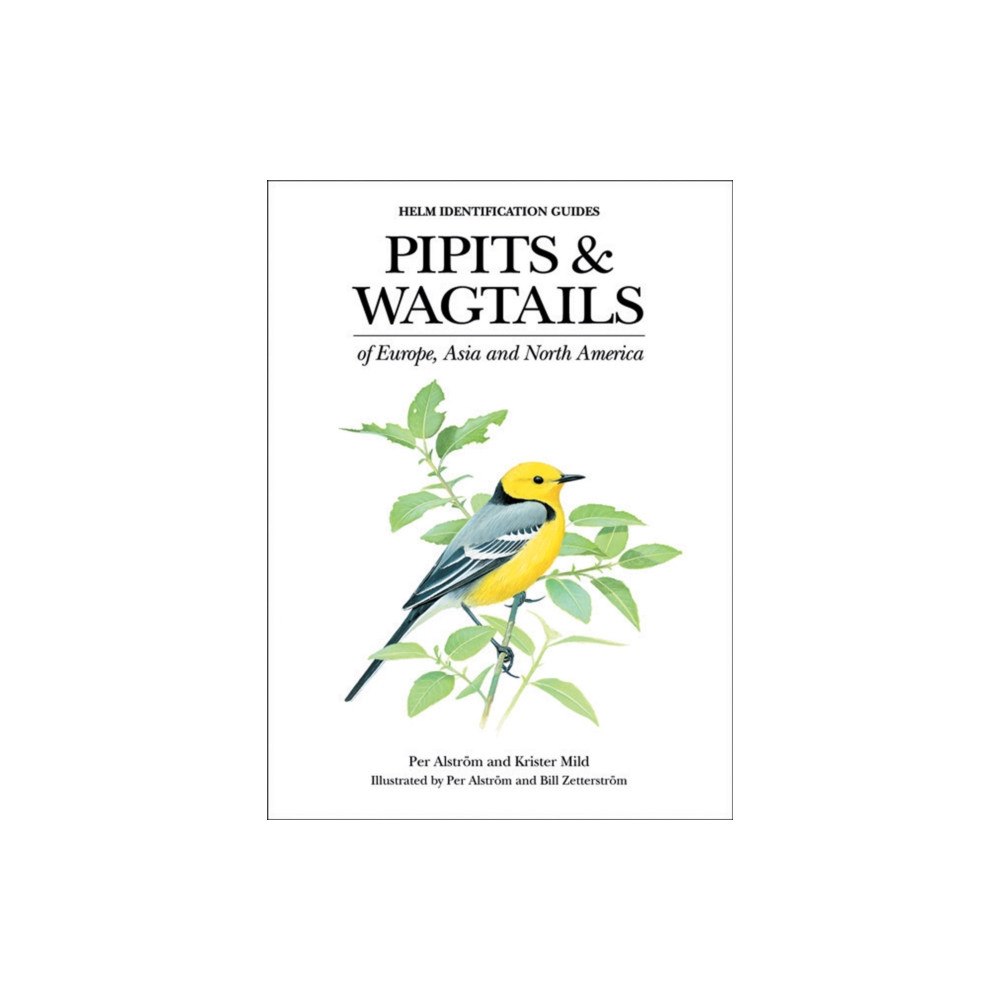 Bloomsbury Publishing PLC Pipits and Wagtails of Europe, Asia and North America (inbunden, eng)