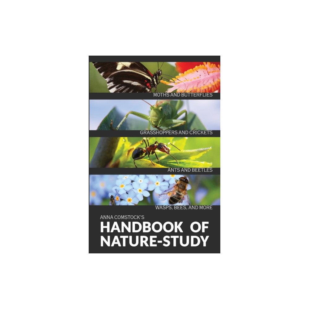 Living Book Press The Handbook Of Nature Study in Color - Insects (häftad, eng)