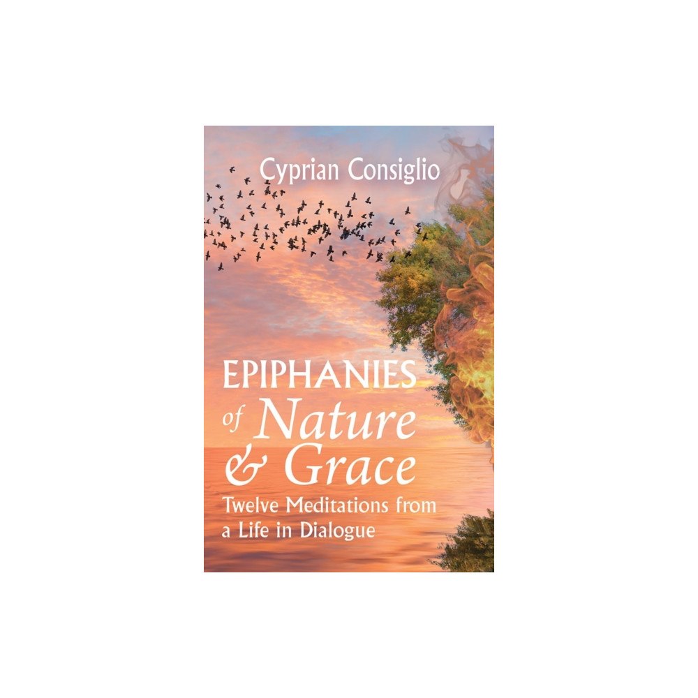 Orbis Books (USA) Epiphanies of Nature and Grace: Twelve Meditations from a Life in Dialogue (häftad, eng)