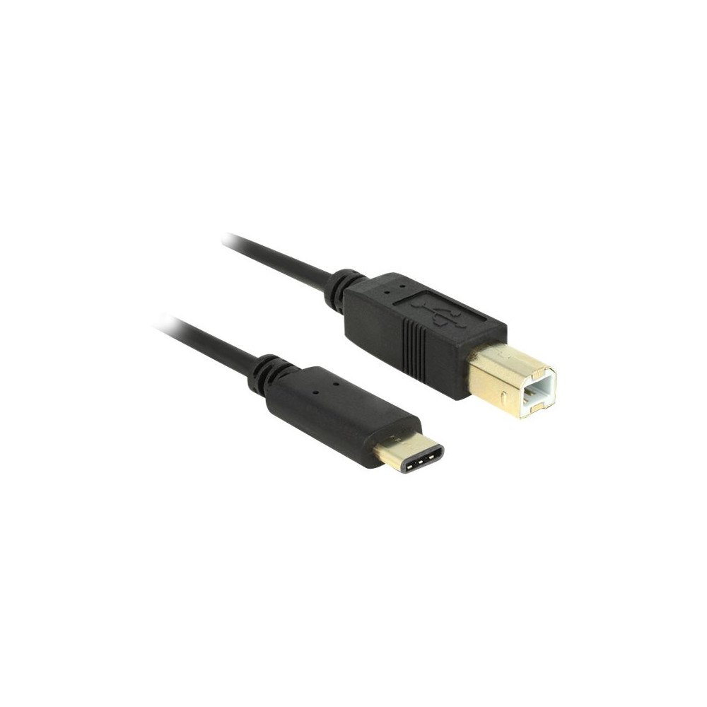 DeLOCK Delock - USB typ C-kabel - 24 pin USB-C till USB typ B - 2 m