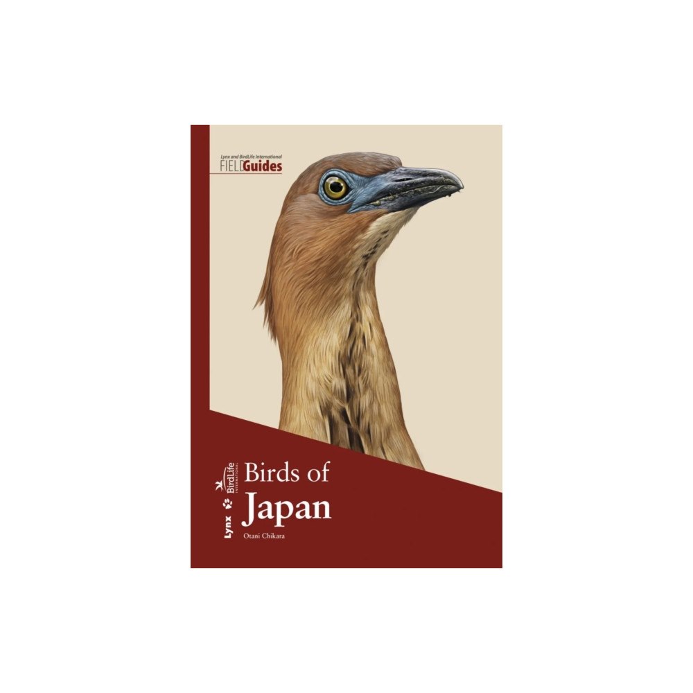 Alada Books, S.L. Birds of Japan (häftad, eng)