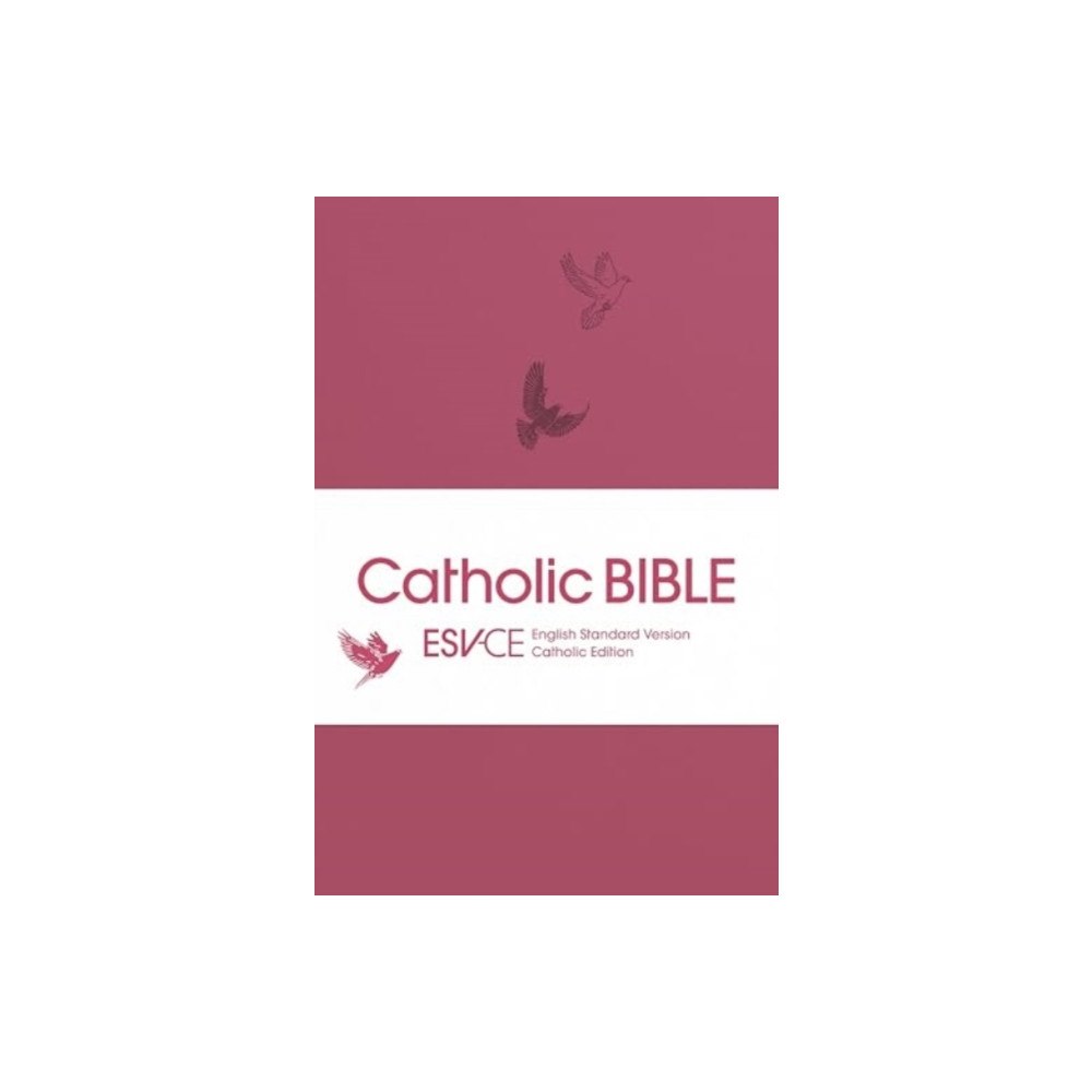 Spck publishing ESV-CE Catholic Bible. The Official Liturgical Bible for England, Wales and Scotland from Advent 24 (häftad, eng)