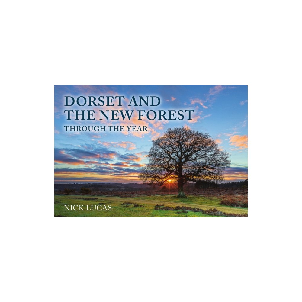 Amberley Publishing Dorset and the New Forest Through the Year (häftad, eng)