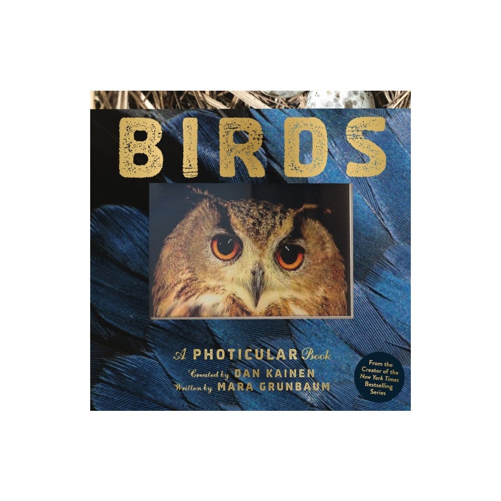 Workman Publishing Birds (inbunden, eng)