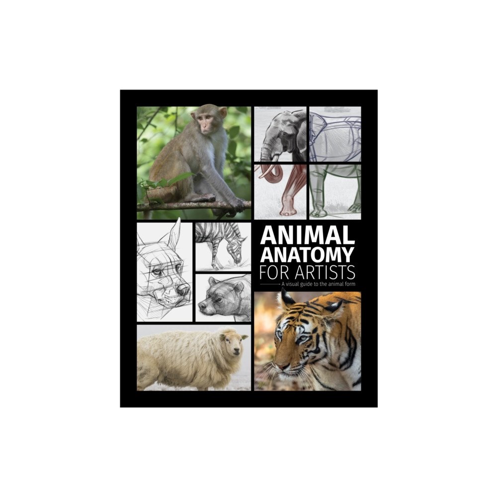 3DTotal Publishing Ltd Animal Anatomy for Artists (inbunden, eng)