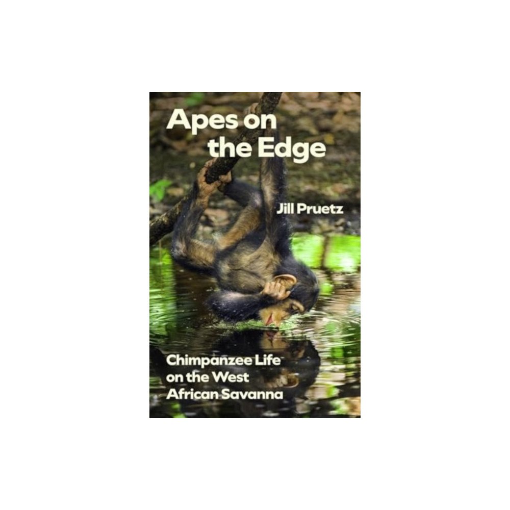 The university of chicago press Apes on the Edge (häftad, eng)