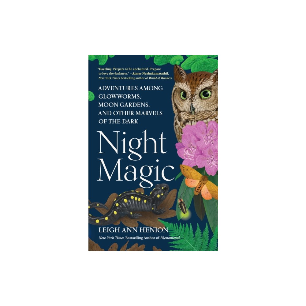 Workman Publishing Night Magic (inbunden, eng)