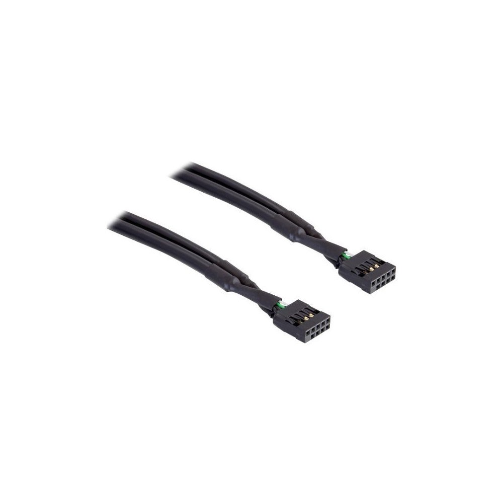 DeLOCK Delock - USB-kabel - 10-stifts USB-överdel till 10-stifts USB-överdel - 50 cm