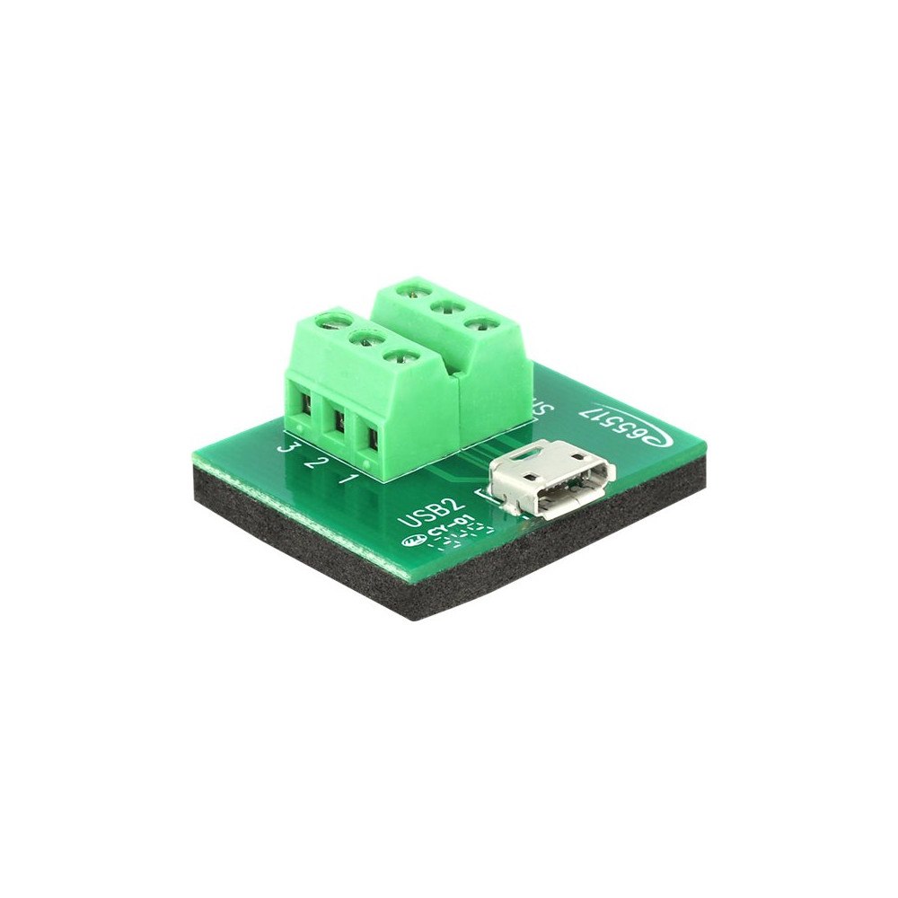 DeLOCK Delock - USB-adapter - 6-stifts terminalblock till mikro-USB typ B
