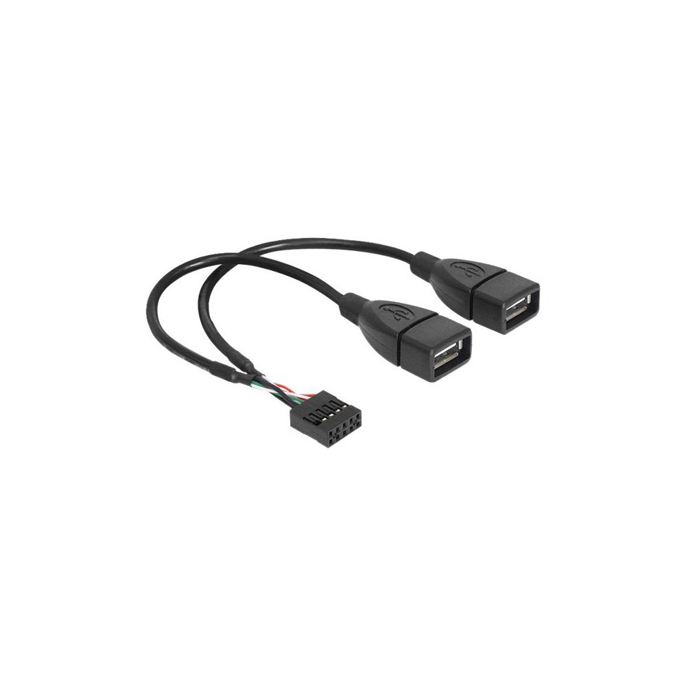 DeLOCK Delock - USB-intern till extern kabel - USB till 9-stifts USB-överdel - 20 cm