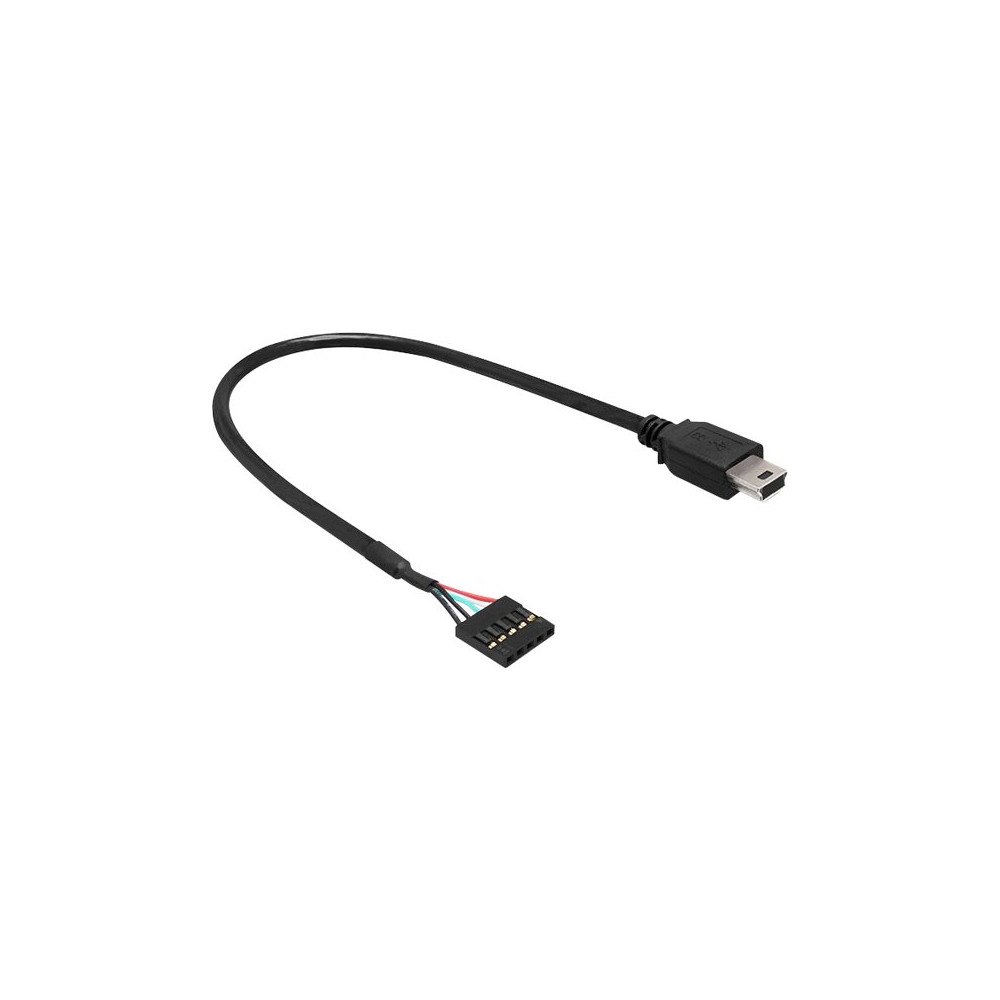 DeLOCK Delock USB 2.0 Pin Header - USB intern till extern adapter - mini-USB typ B till 5 stifts USB 2.0-rubrik - 30 cm