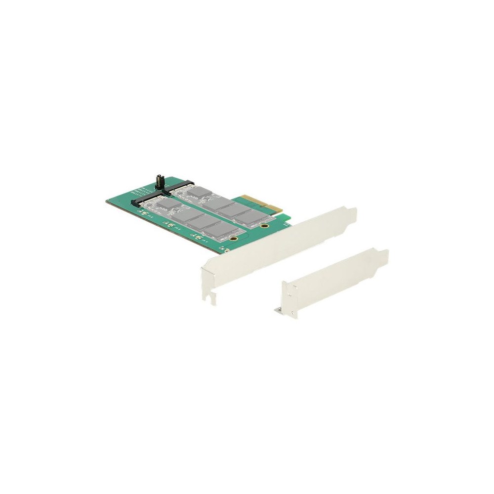 DeLOCK Delock PCI Express Card > 2 x internal M.2 Key B with RAID - kontrollerkort - M.2 Card - PCIe 2.0 x4