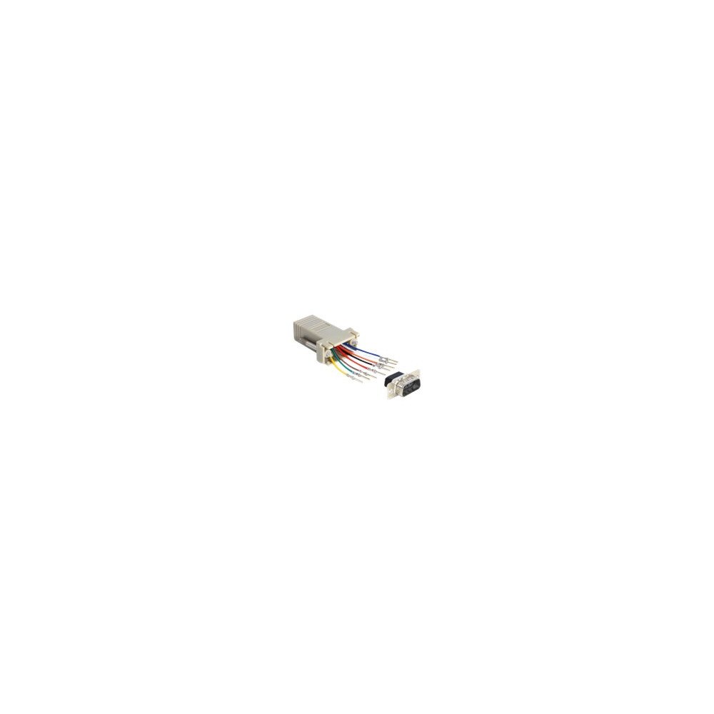 DeLOCK Delock Adapter Sub-D 9 Pin male > RJ45 female assembly kit - seriell adapter