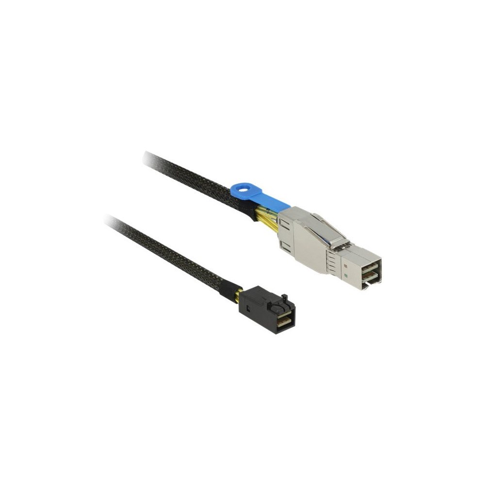 DeLOCK Delock SAS-kabel intern till extern - 1 m