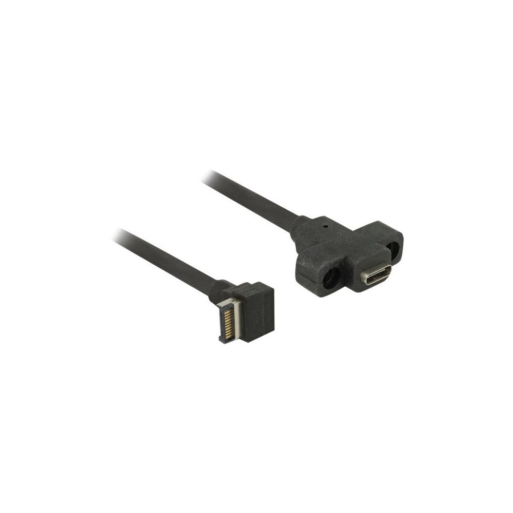 DeLOCK Delock - USB-intern till extern kabel - 20-stifts USB 3.0 överdel till USB-C - 45 cm