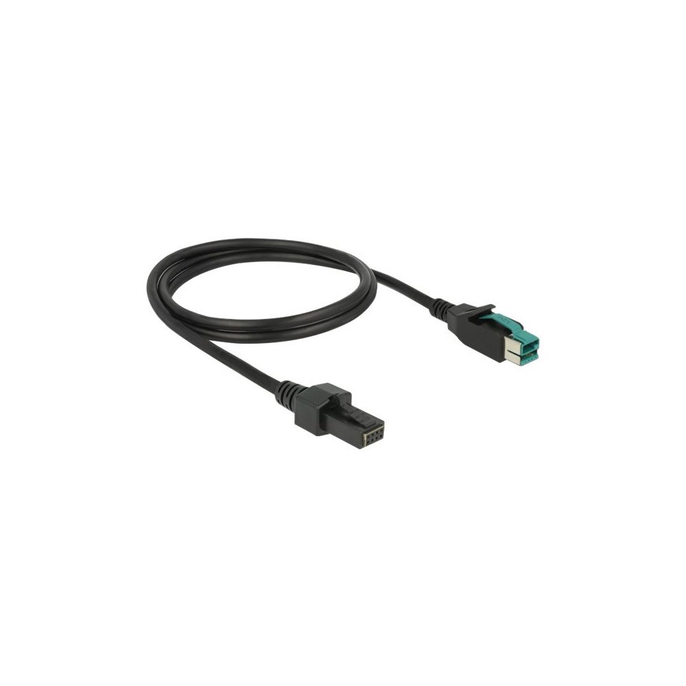DeLOCK Delock - USB-kabel med egen strömförsörjning - USB PlusPower (12 V) till 8 stifts (2x4) PoweredUSB-fjärrsida - 1 m