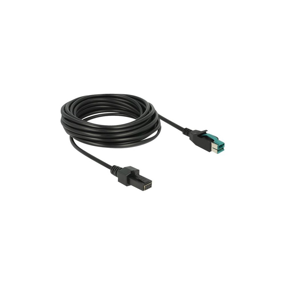 DeLOCK Delock - USB-kabel med egen strömförsörjning - USB PlusPower (12 V) till 8 stifts (2x4) PoweredUSB-fjärrsida - 5 m