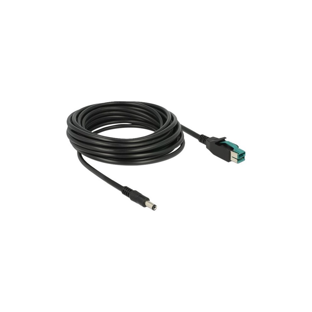 DeLOCK Delock - USB-kabel med egen strömförsörjning - USB PlusPower (12 V) till växelströmsuttag 2,1/5,5 mm - 5 m