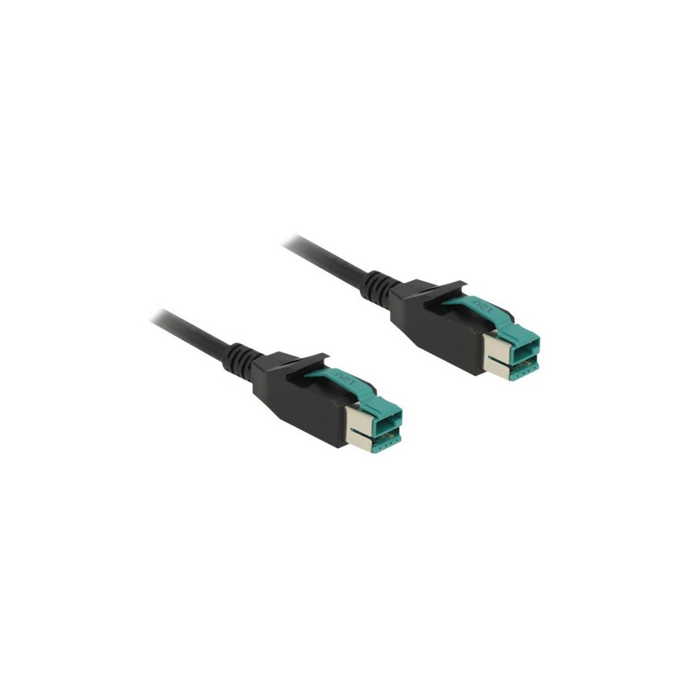 DeLOCK Delock - USB-kabel med egen strömförsörjning - USB PlusPower (12 V) till USB PlusPower (12 V) - 5 m