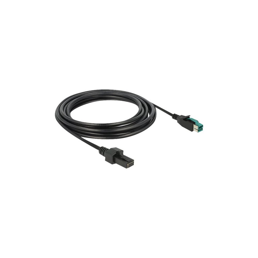 DeLOCK Delock - USB-kabel med egen strömförsörjning - USB PlusPower (12 V) till 8 stifts (2x4) PoweredUSB-fjärrsida - 4 m