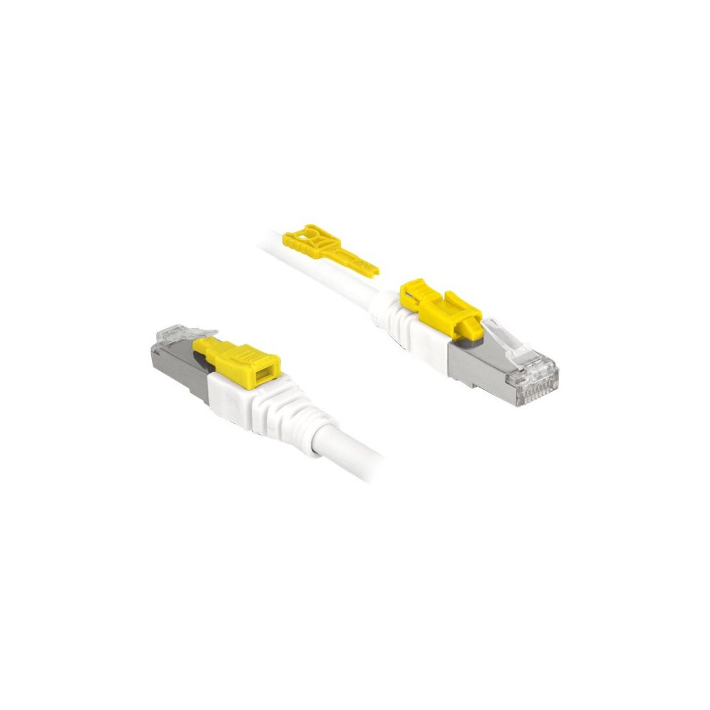 DeLOCK Delock Secure - patch-kabel - 50 cm - vit