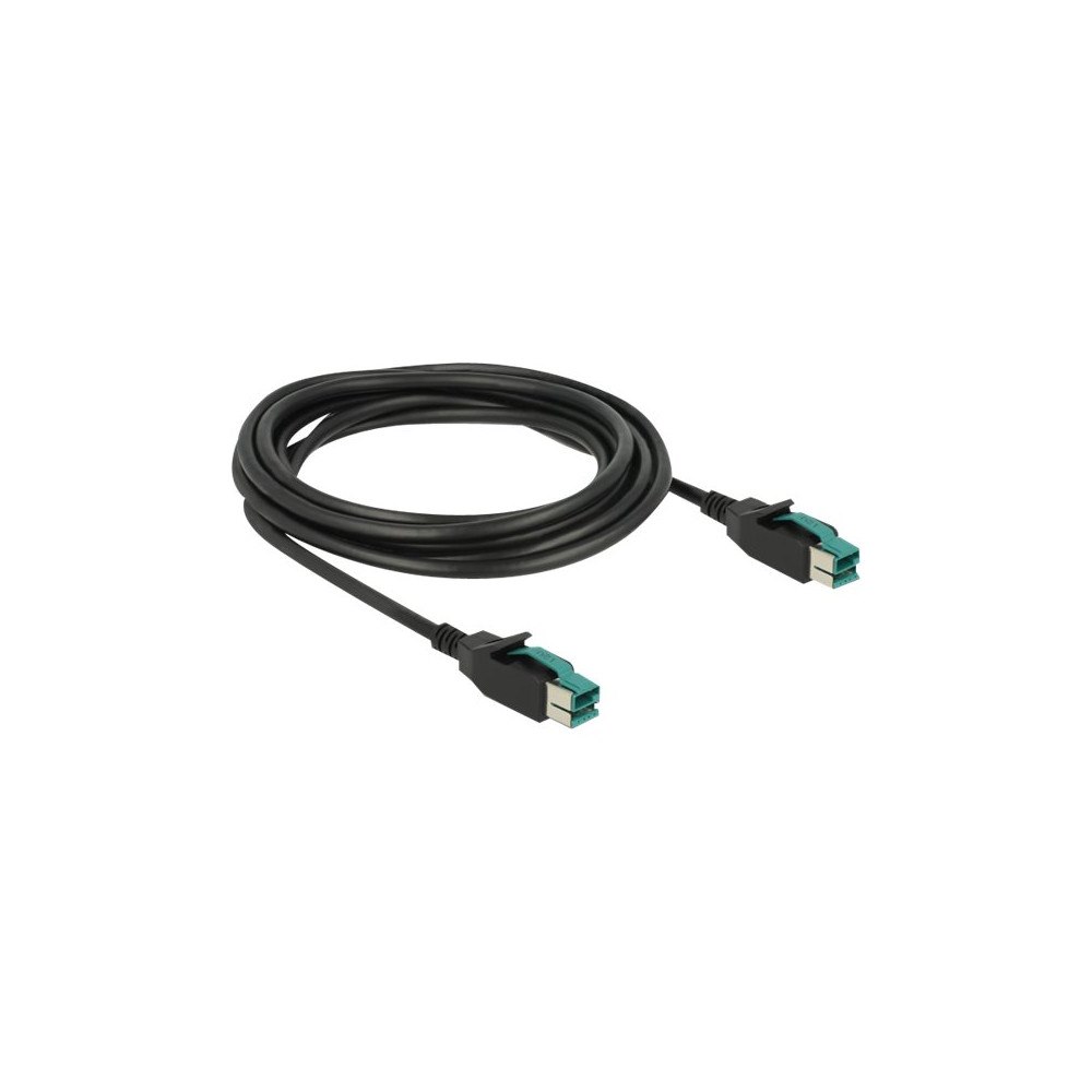 DeLOCK Delock - USB-kabel med egen strömförsörjning - USB PlusPower (12 V) till USB PlusPower (12 V) - 3 m