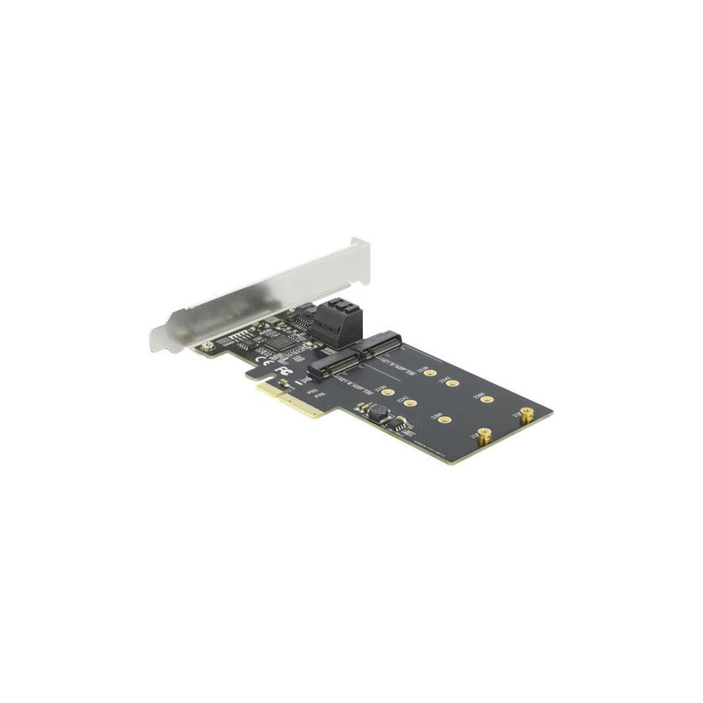 DeLOCK Delock 3 port SATA and 2 slot M.2 Key B PCI Express x4 Card - Low Profile Form Factor - kontrollerkort - M.2 Card / SATA...