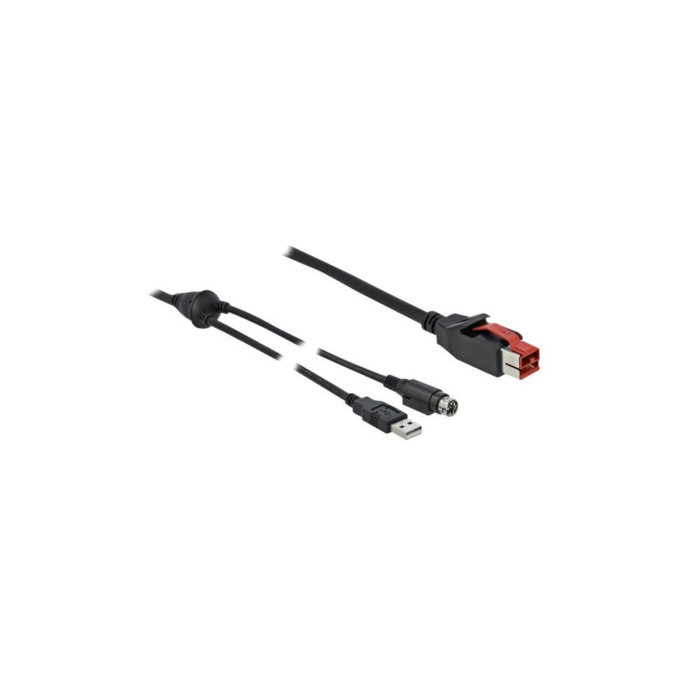 DeLOCK Delock - USB-kabel med egen strömförsörjning - 2 m