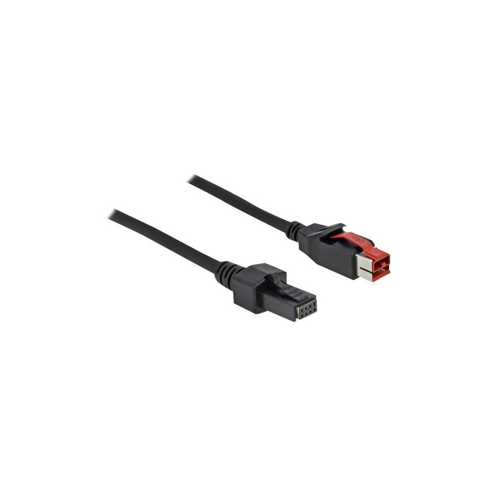 DeLOCK Delock - USB-kabel med egen strömförsörjning - USB PlusPower (24 V) till 4-stifts mini-DIN - 2 m