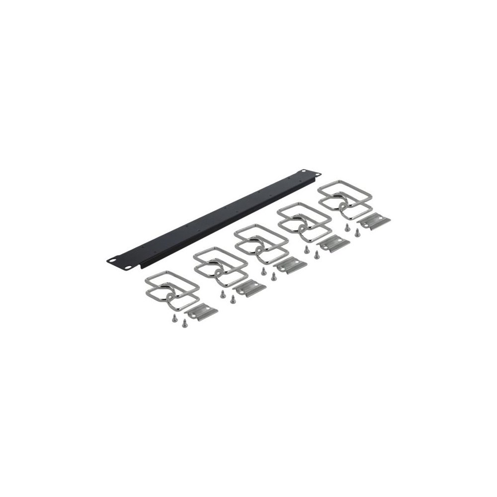 DeLOCK Delock - rackpanel för kabelhantering - 1U