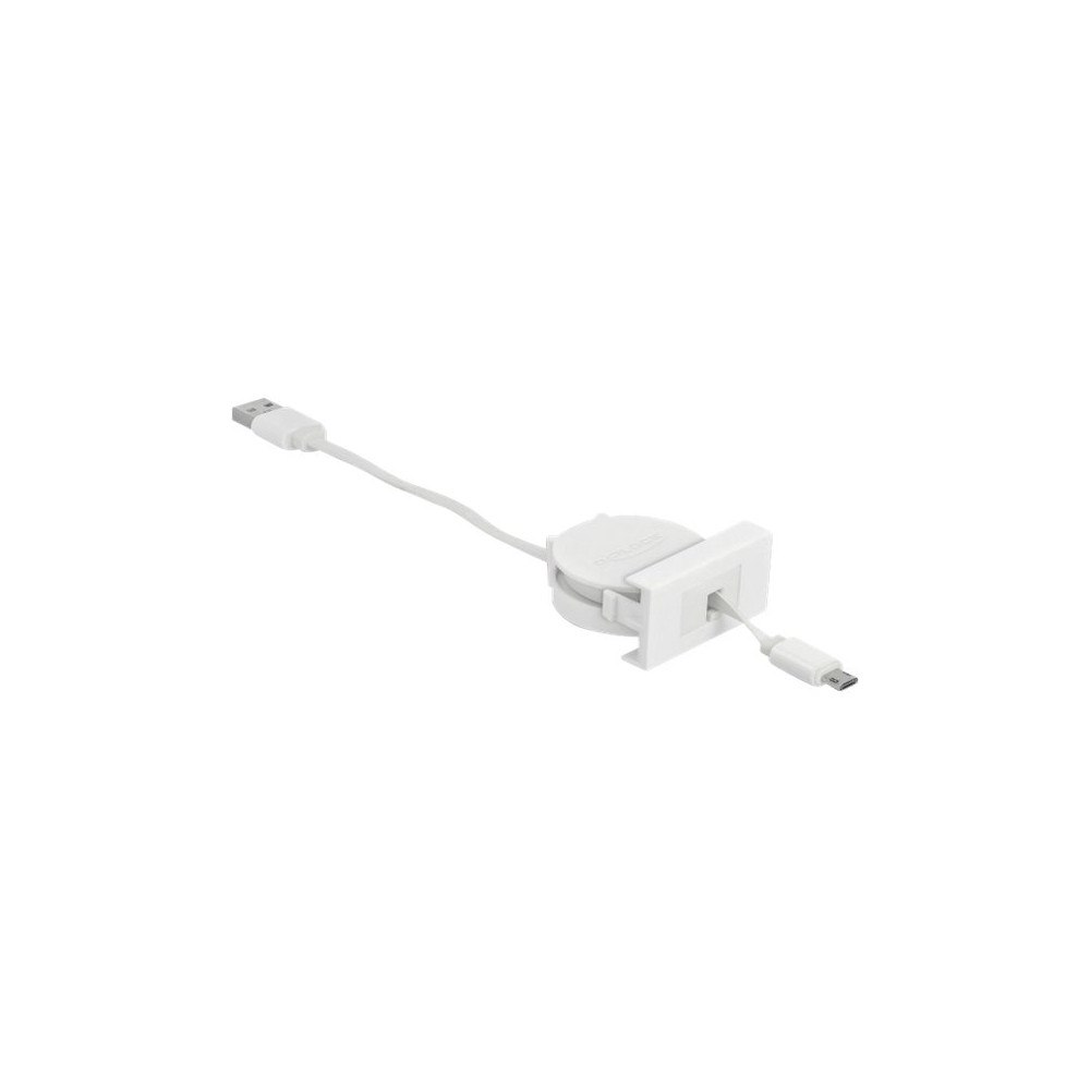 DeLOCK Delock - USB-kabel - USB till mikro-USB typ B - 50 cm