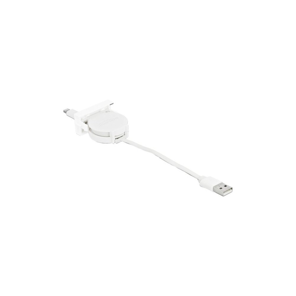 DeLOCK Delock Lightning-kabel - Lightning / USB 2.0 - 50 cm