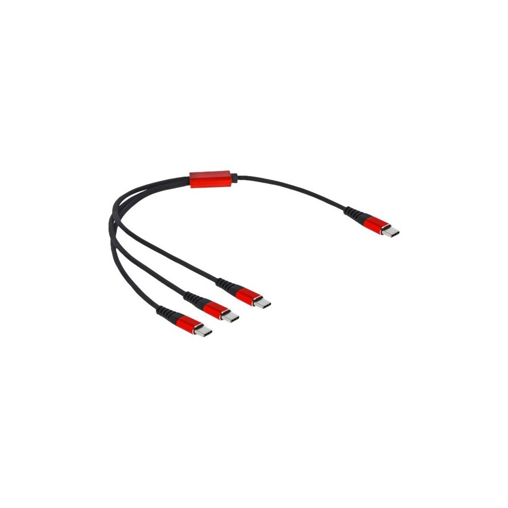 DeLOCK Delock - USB typ C-kabel - USB-C till USB-C - 30 cm