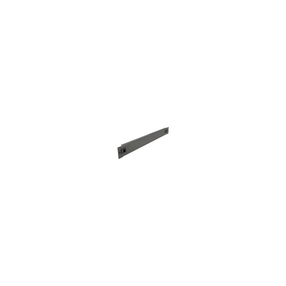 DeLOCK Delock blindpanel till rack - 1U - 19"