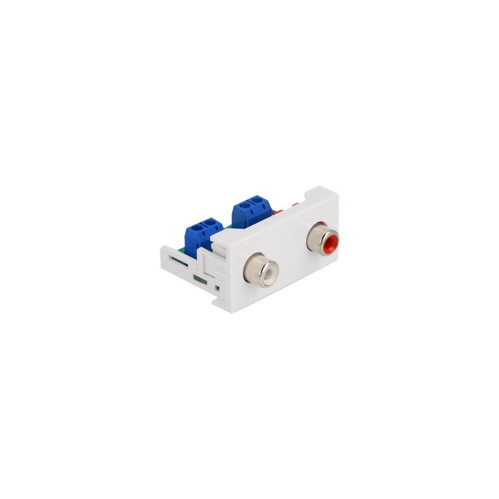DeLOCK Delock Easy 45 - snäppbar modul - vit, RAL 9003
