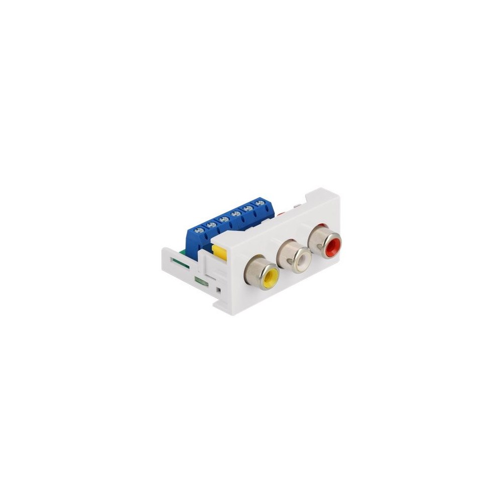 DeLOCK Delock Easy 45 - snäppbar modul - vit, RAL 9003