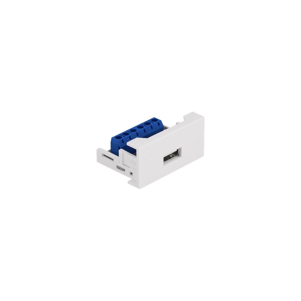 DeLOCK Delock Easy 45 - snäppbar modul - vit, RAL 9003