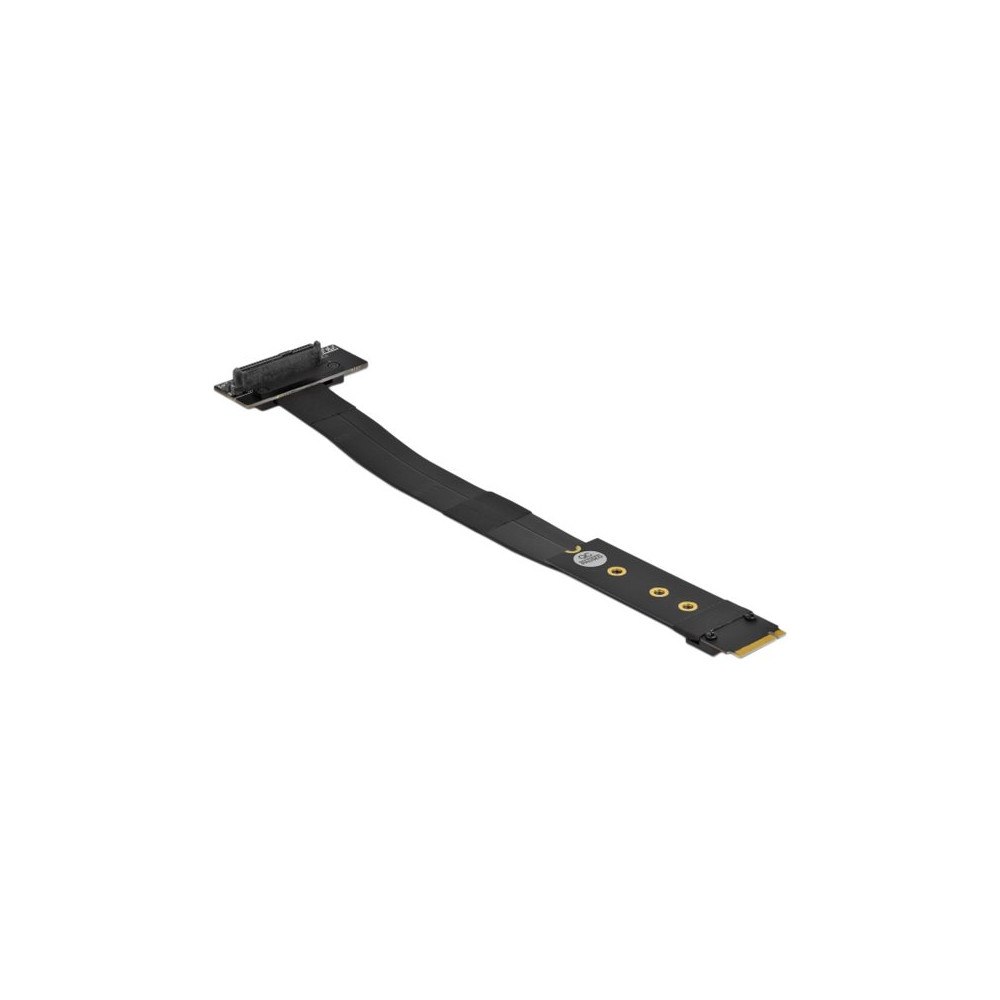DeLOCK Delock - gränssnittsadapter - U.2 NVMe - M.2 Card