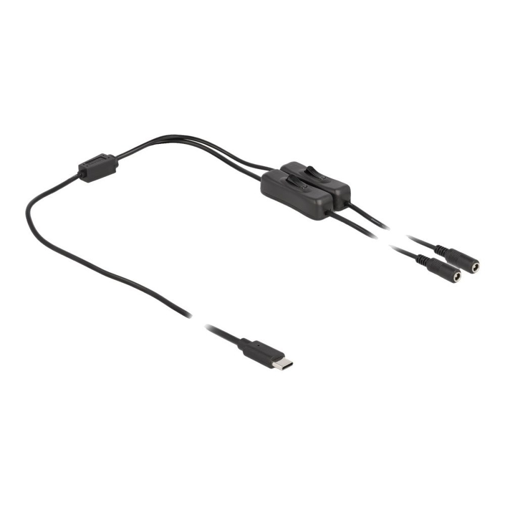 DeLOCK Delock - strömdelare - 24 pin USB-C till DC-jack 5,5 x 2,1 mm - 1 m