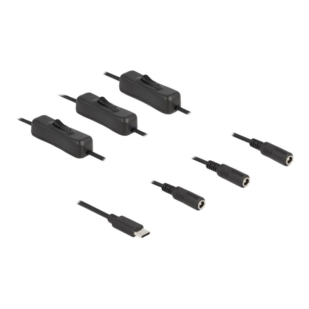 DeLOCK Delock - strömdelare - 24 pin USB-C till DC-jack 5,5 x 2,1 mm - 1 m