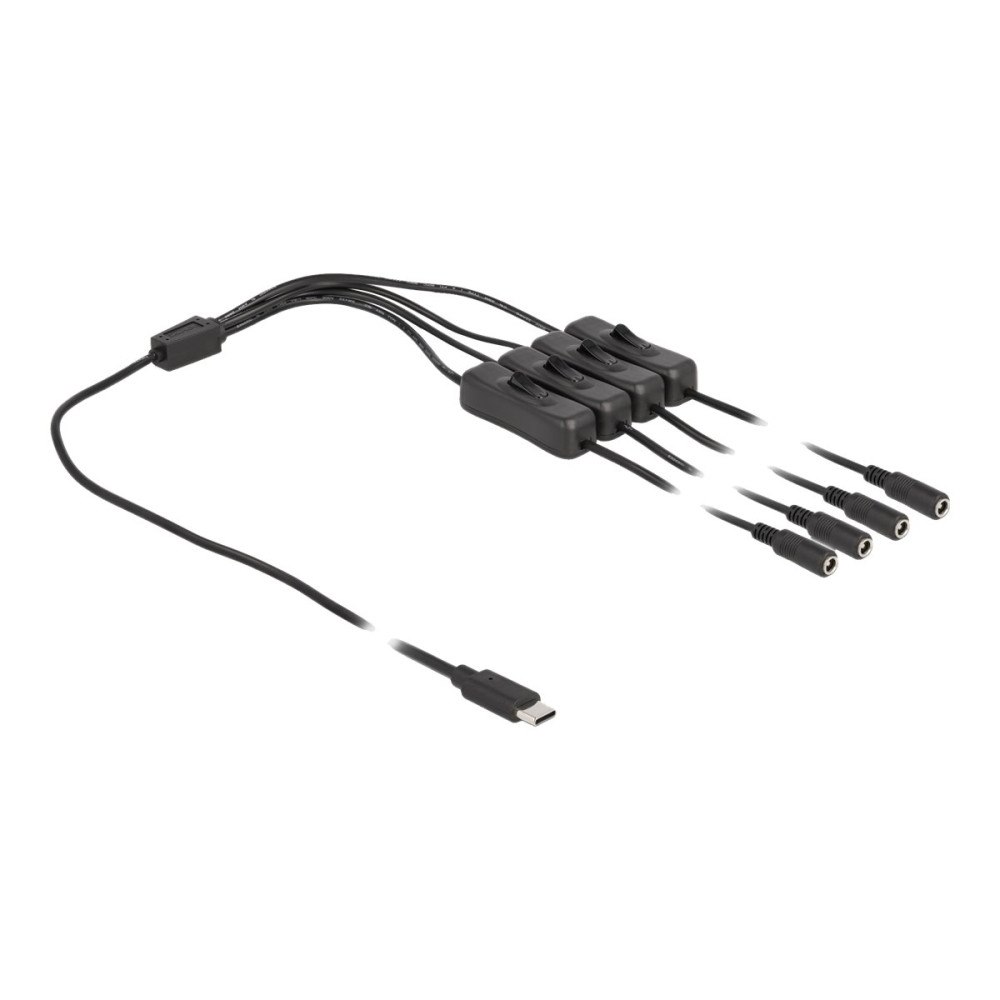 DeLOCK Delock - strömdelare - 24 pin USB-C till DC-jack 5,5 x 2,1 mm - 1 m